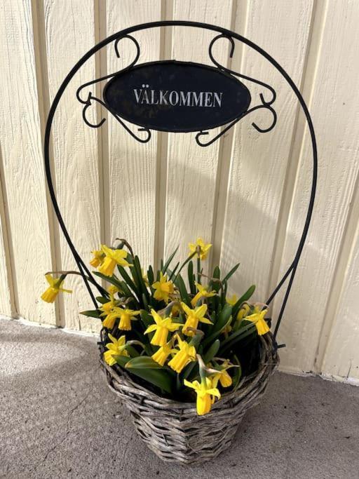 Patterdale Farm Holiday Apartments Gamleby  ภายนอก รูปภาพ